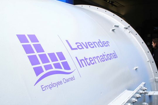 Lavender